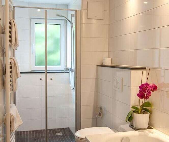 חדר סטנדרט, Rheinhotel Arte