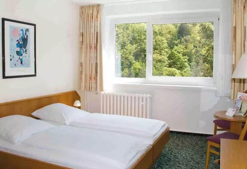 スタンダードシングルルーム, Morada Hotel Alexisbad