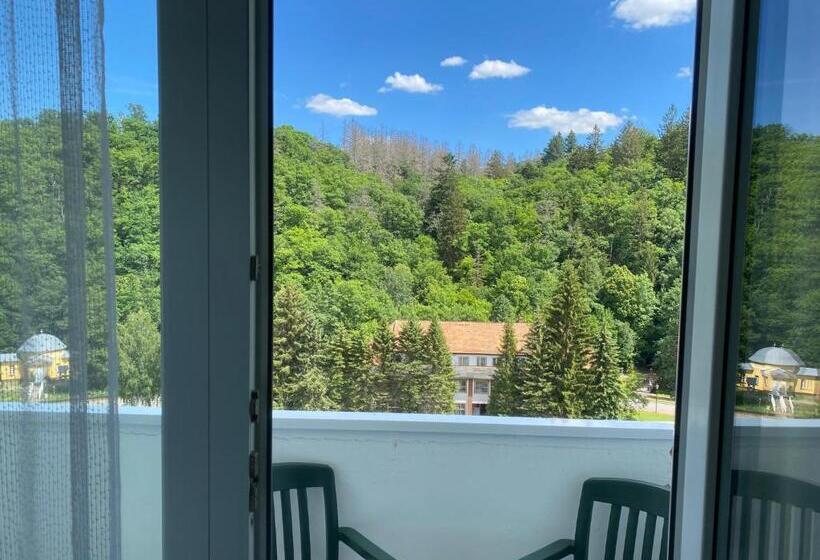 Номер Стандарт с Балконом, Morada Hotel Alexisbad