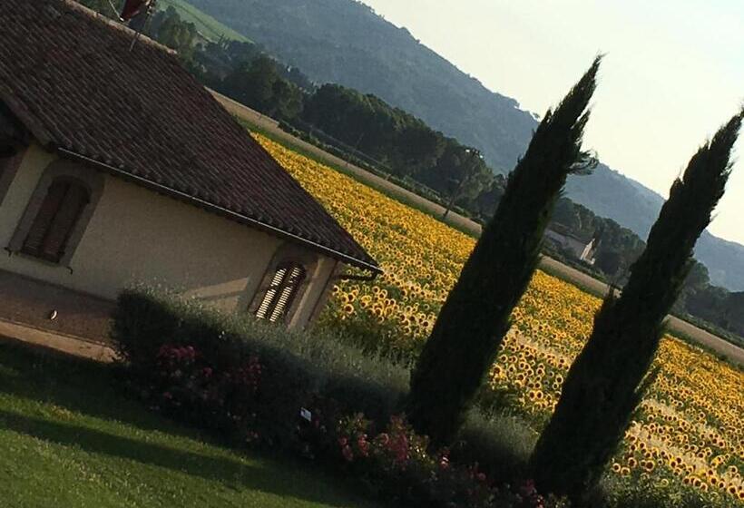 Апартаменты 1 Спальня, Agriturismo Le Rondini Di Francesco Di Assisi