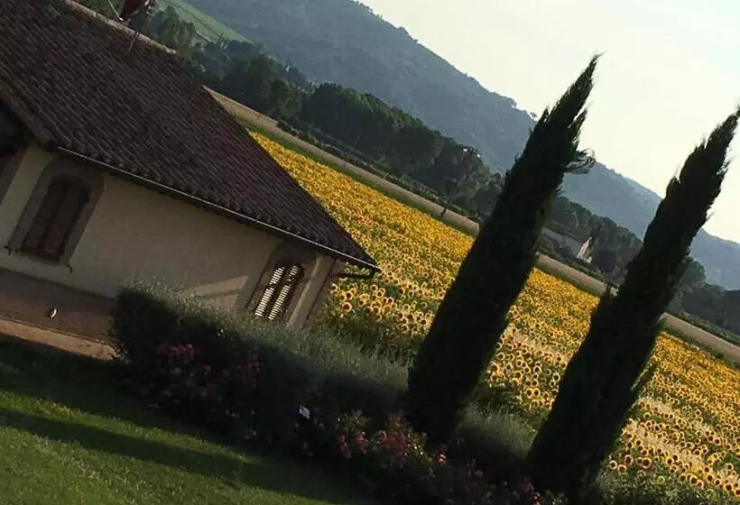 １ベッドルームアパートメント, Agriturismo Le Rondini Di Francesco Di Assisi