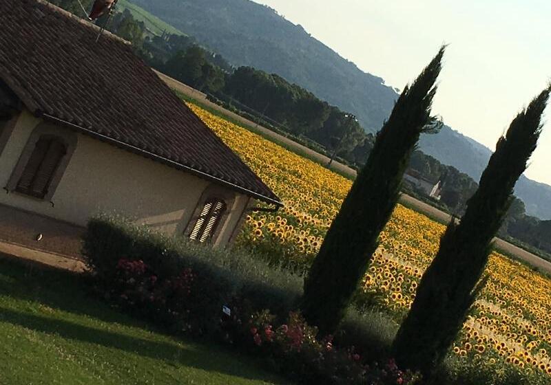شقة غرفة واحدة, Agriturismo Le Rondini Di Francesco Di Assisi