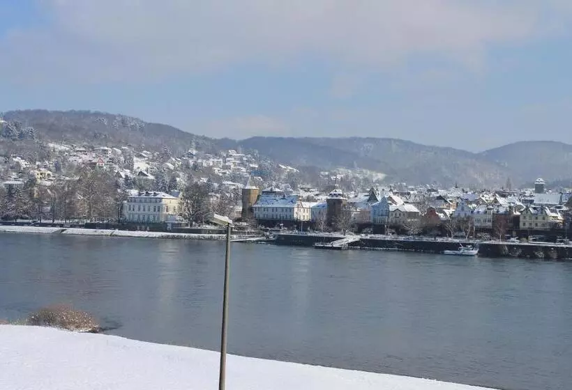 Standard Yhden Hengen Huone, Rheinhotel Arte