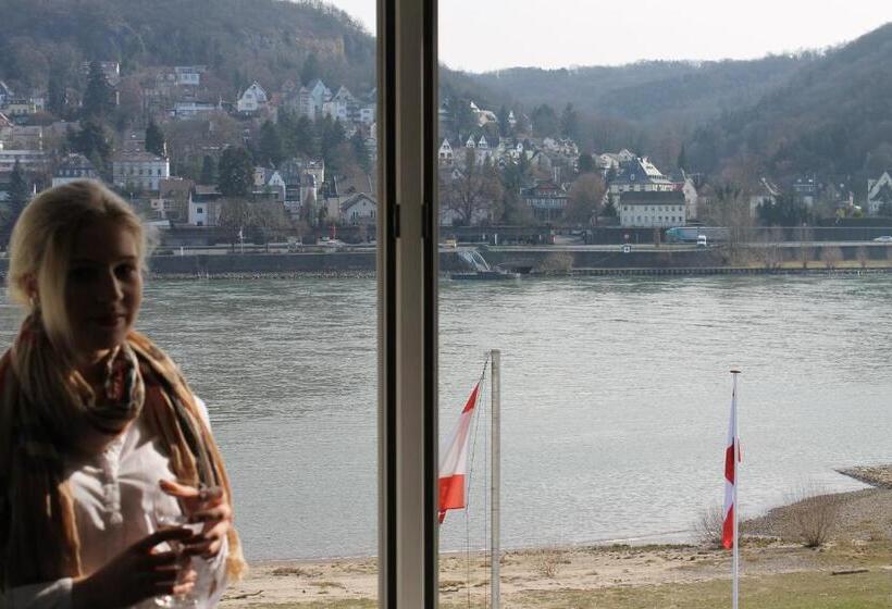 חדר סטנדרט יחיד, Rheinhotel Arte