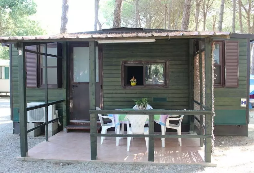 1ベッドルームハウス, Villaggio Camping Lungomare