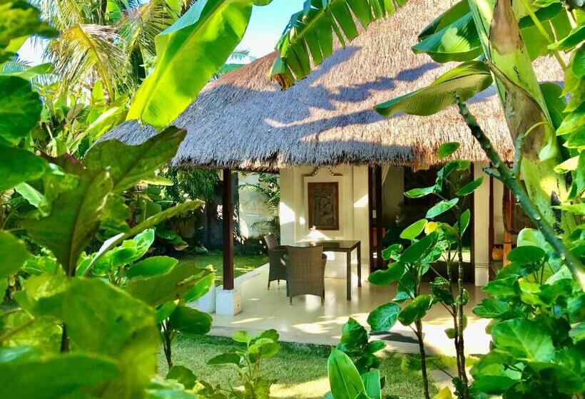 디럭스 룸, Blind Dog Inn