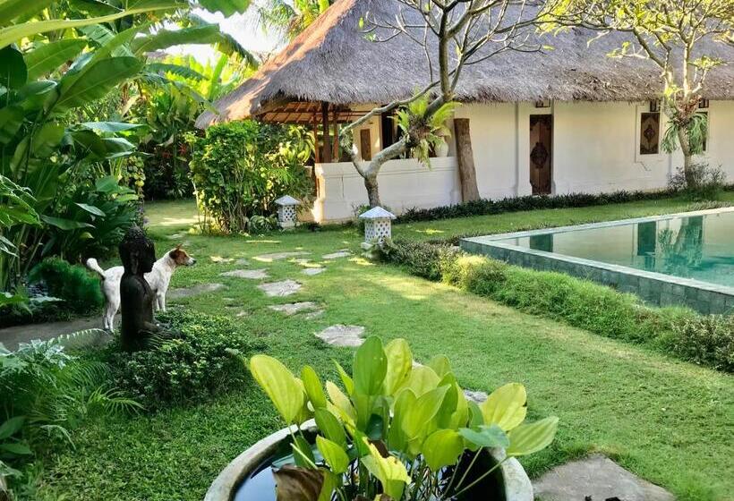 이그제큐티브 룸, Blind Dog Inn