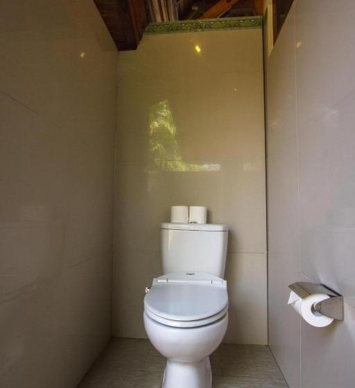 סוויטה, Arya Amed Beach Resort And Dive Center