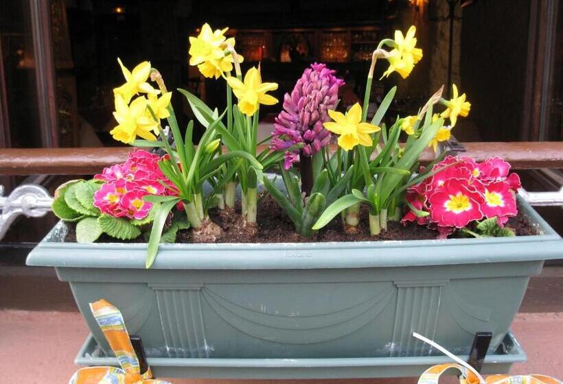 コンフォートルーム, Auberge Des Trois Châteaux