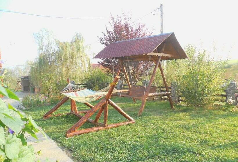 Номер Стандарт, Vila Sura Razoare