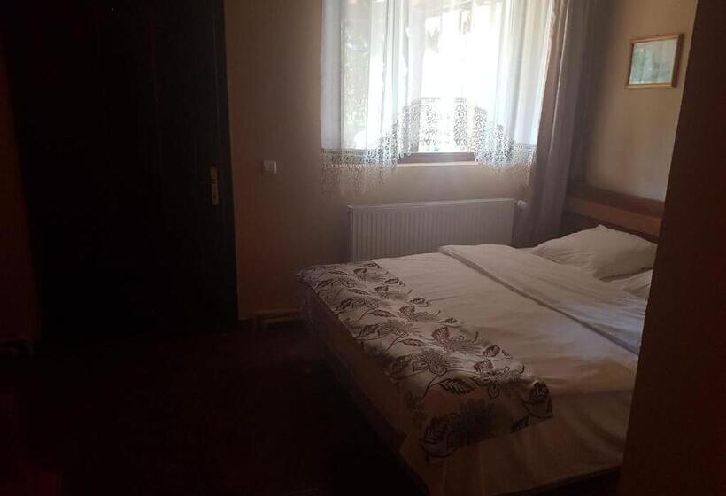 Номер Стандарт, Vila Sura Razoare