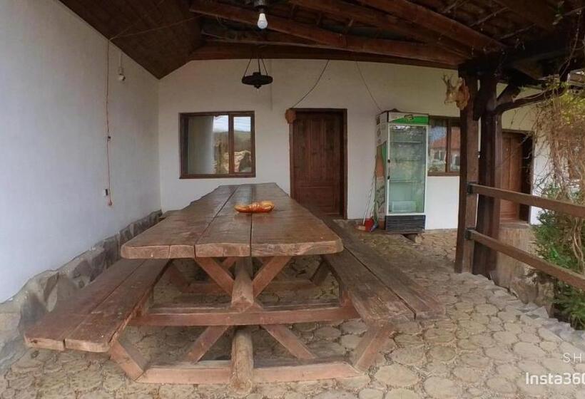 标准间, Vila Sura Razoare