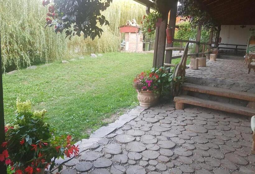 Номер Deluxe Кровать Кинг, Vila Sura Razoare