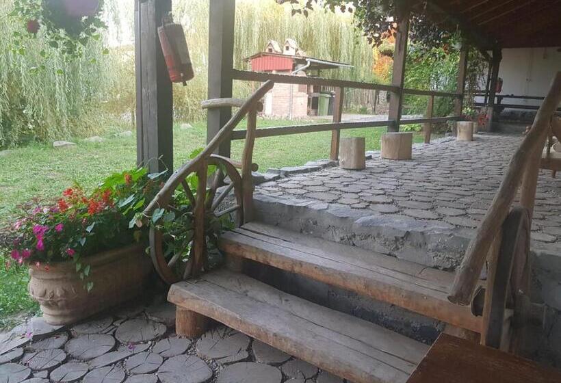 Номер Deluxe Кровать Кинг, Vila Sura Razoare