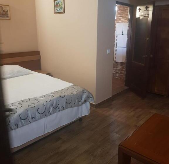 Номер Deluxe Кровать Кинг, Vila Sura Razoare