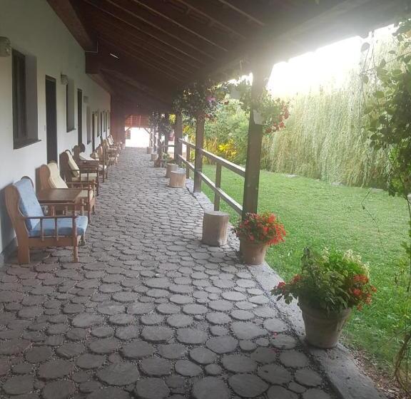 Номер Deluxe Кровать Кинг, Vila Sura Razoare