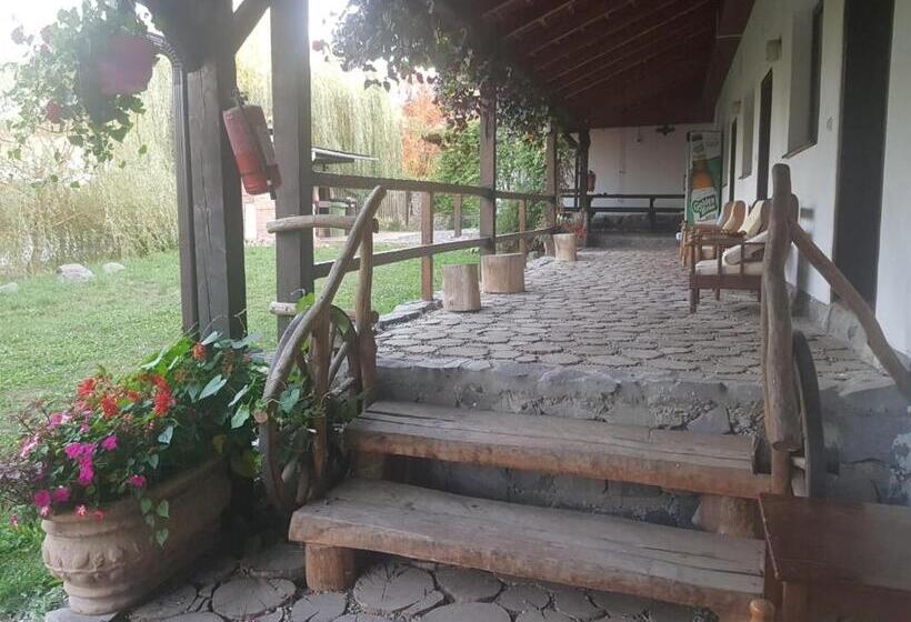 Номер Deluxe Кровать Кинг, Vila Sura Razoare