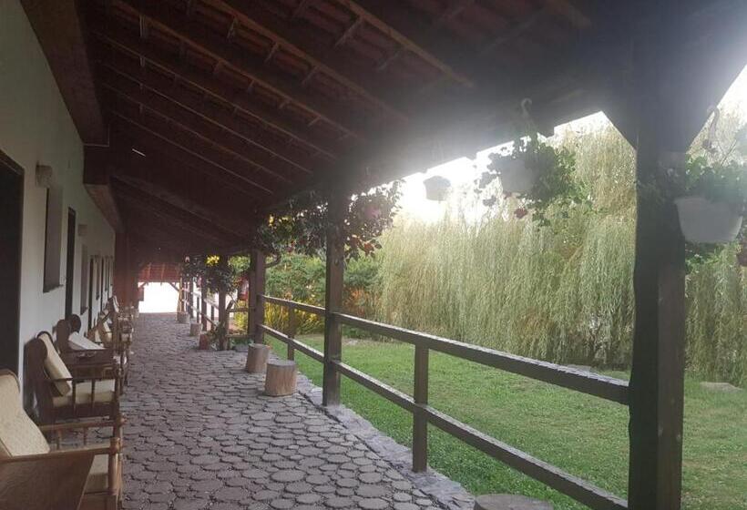 带大床的豪华间, Vila Sura Razoare