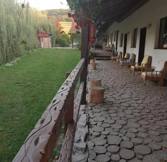 ビラホテル1ベッドルーム, Vila Sura Razoare
