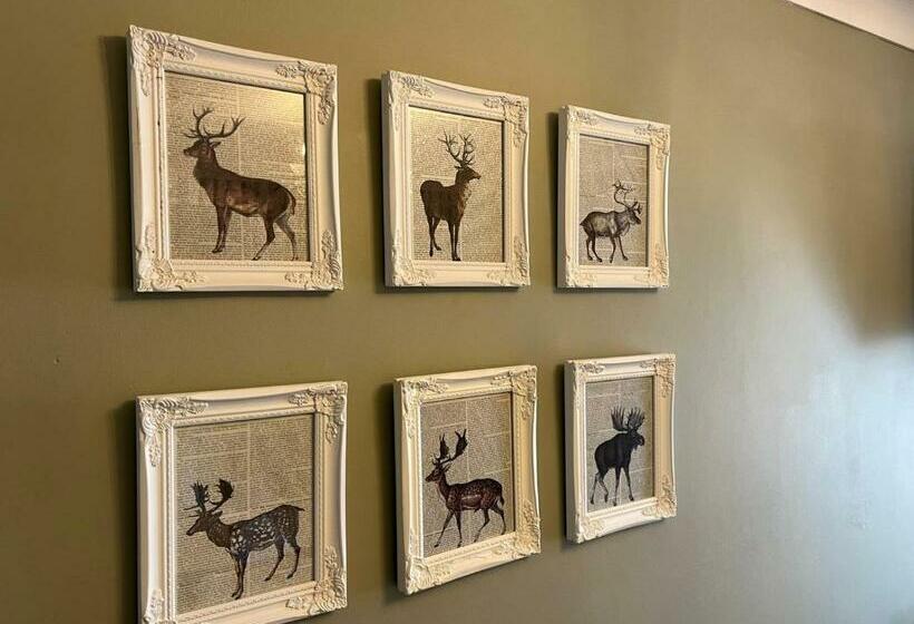 스탠다드 룸, Mcgraths Blackpool