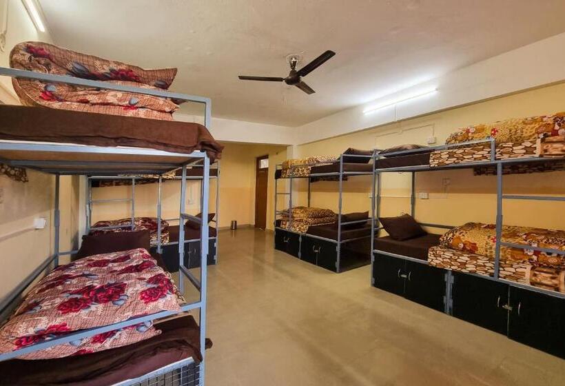 سرير فى غرفة مشتركه, Oak View