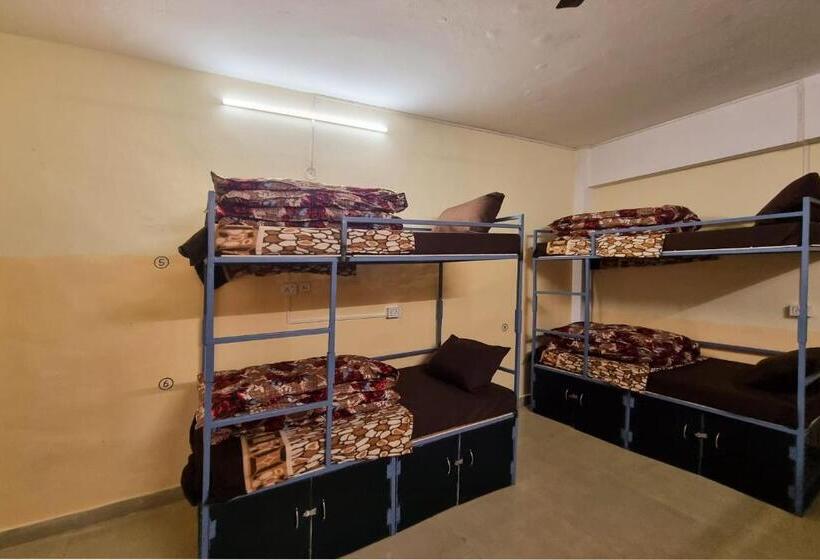 سرير فى غرفة مشتركه, Oak View