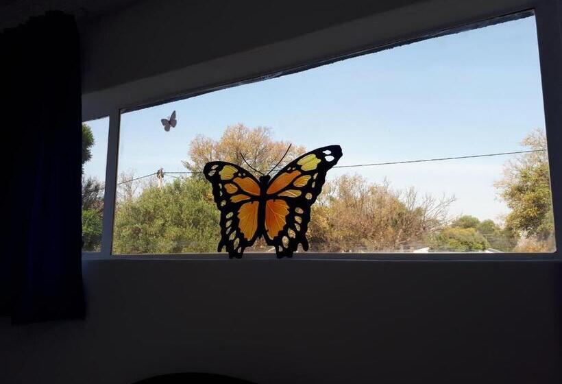 Номер Deluxe, 13th Avenue Guesthouse Benoni