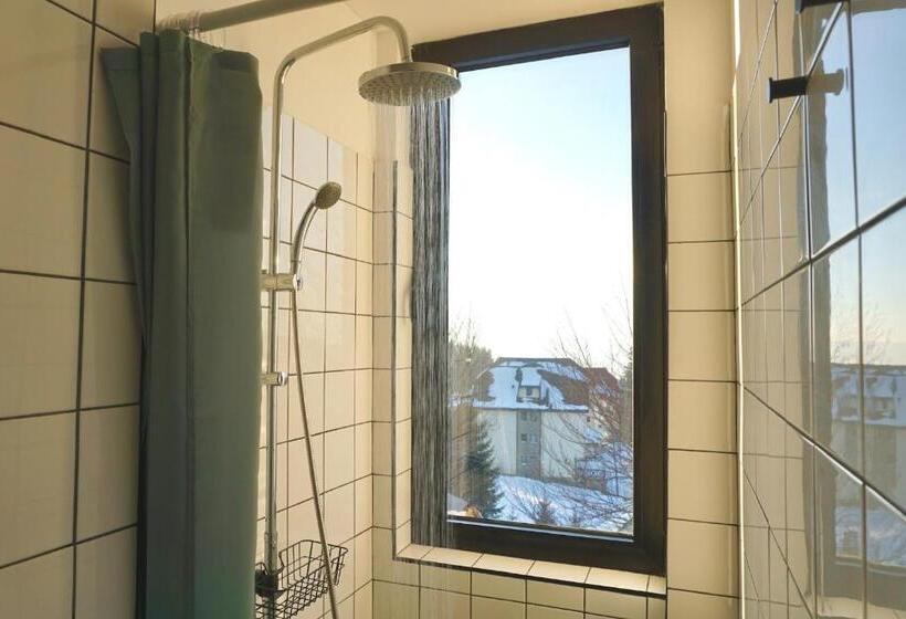 اتاق اکونومی, Montana