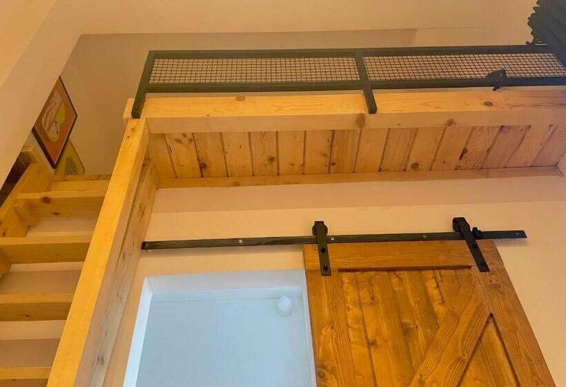 اتاق اکونومی, Montana