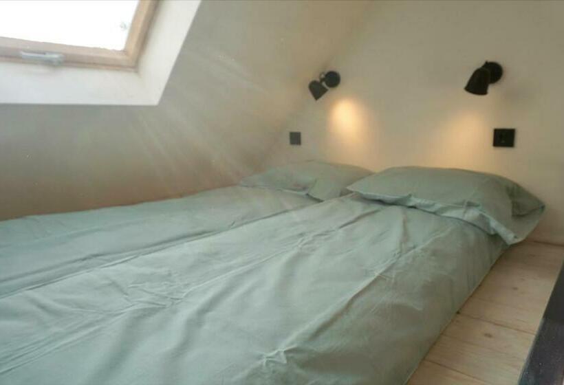 اتاق استاندارد چهار تخته, Montana