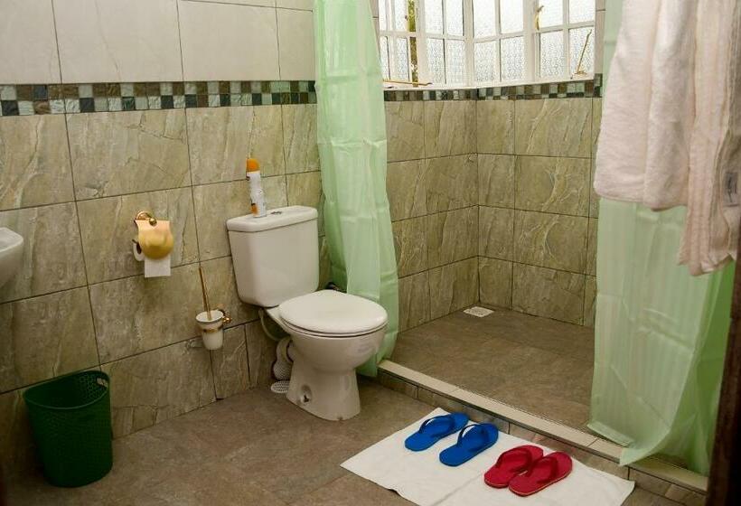 اتاق استاندارد با تخت بزرگ, Vintage Homestay Eldoret