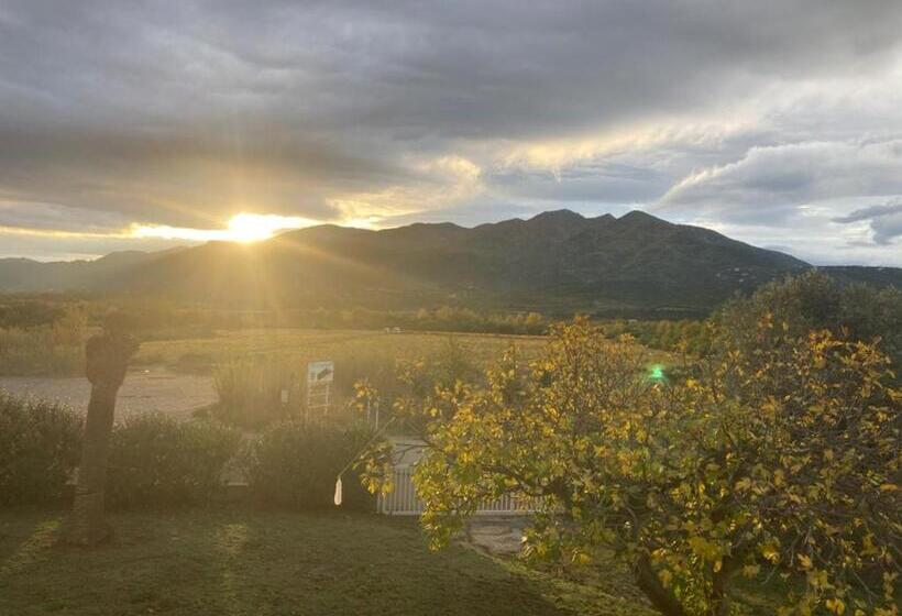 带露台的标准房间, La Garenne