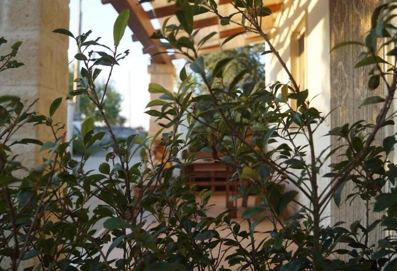 Апартаменты 1 Спальня, La Casa Del Nonno