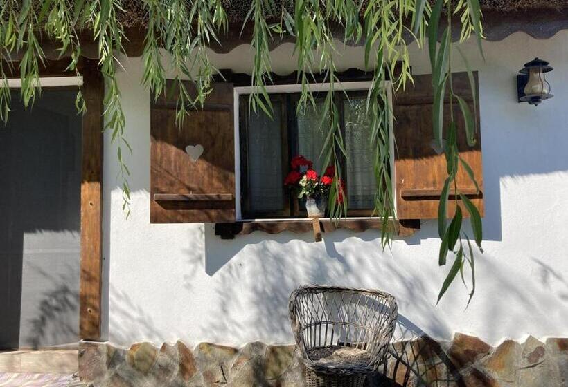 스탠다드 룸, Casa Soarelui