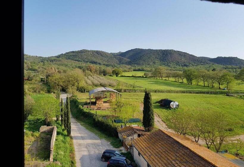 اتاق استاندارد با چشم‌انداز, Castello Di Casallia