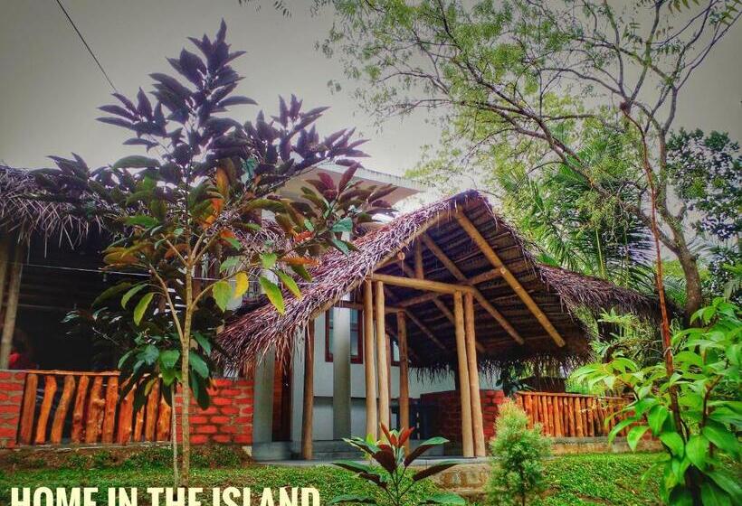 Medencére Néző Standard Szoba, Home In The Island