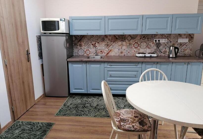 דירת חדר בקומת קרקע, K Plus Penzión