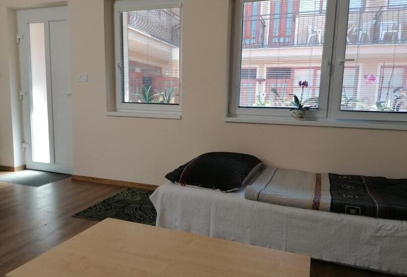 דירת חדר בקומת קרקע, K Plus Penzión