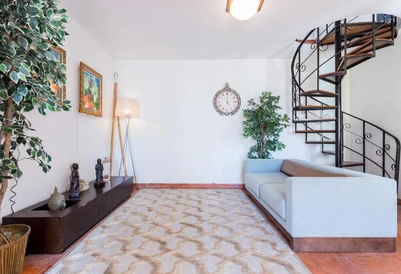 スイート, Safari Beach Guest House