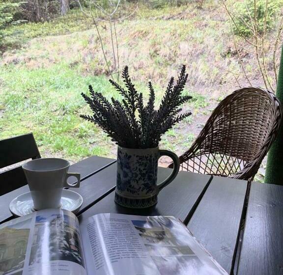 Standard-studio, садиба оберіг