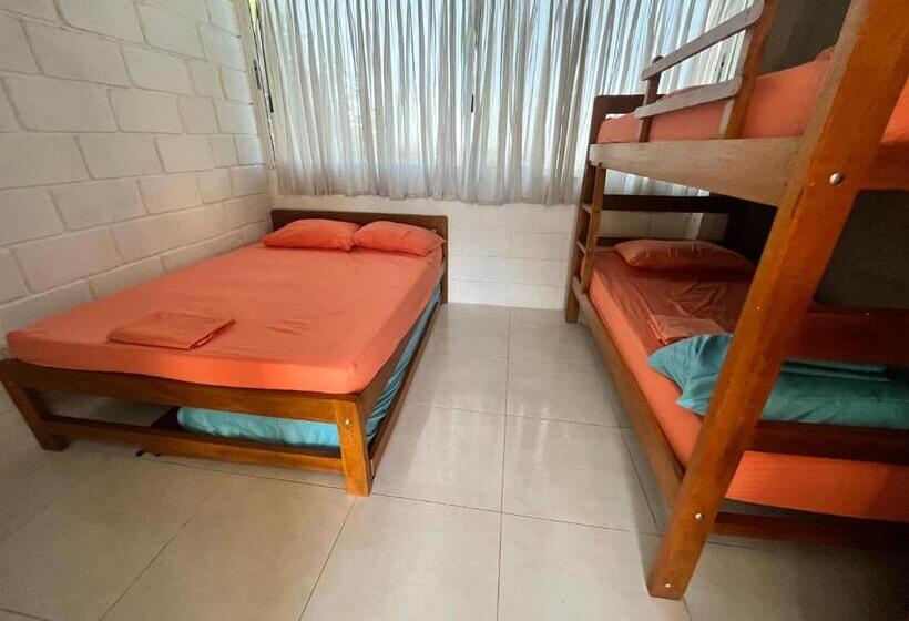 غرفة عائلية, Palomar Ecocabaña