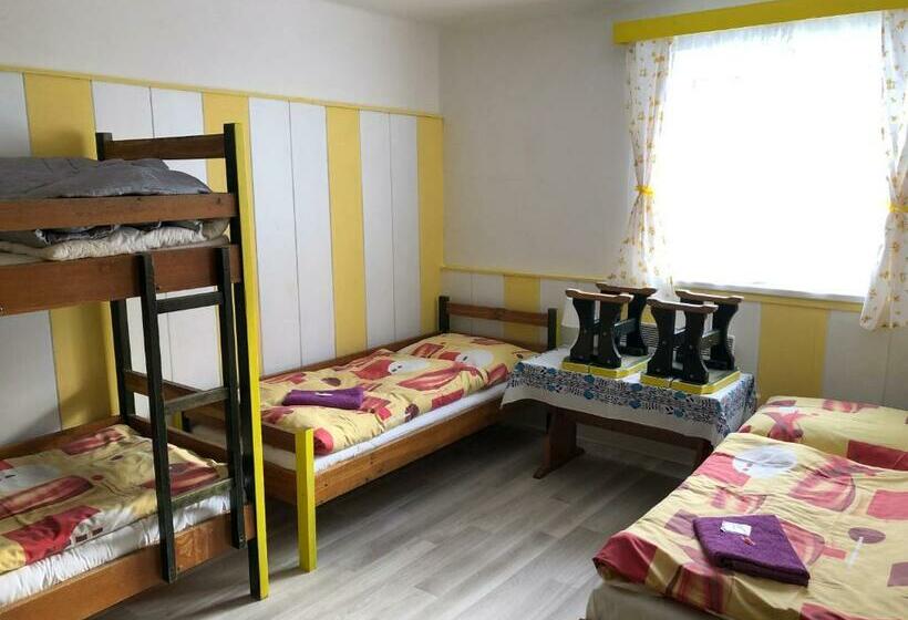 غرفة قياسية رباعية, U Dvou Rysů