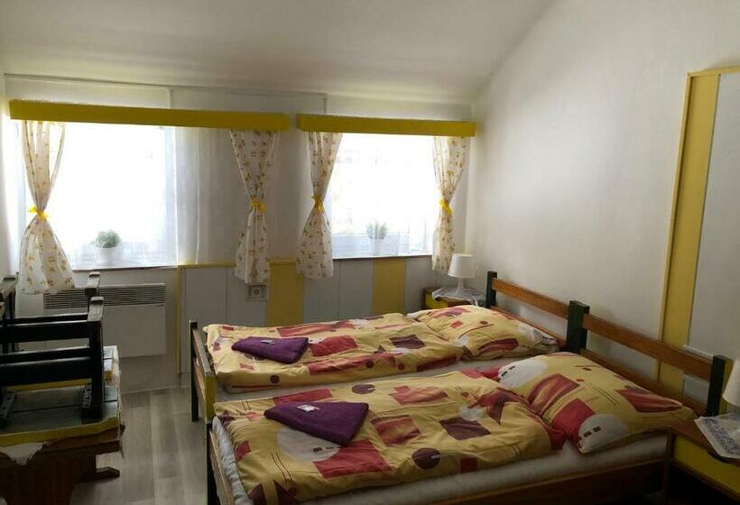 غرفة قياسية رباعية, U Dvou Rysů