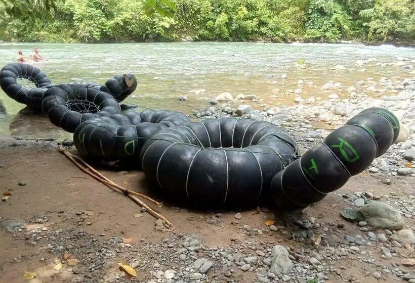 エコノミールーム, Jungle Treking & Jungle Tour If You Want To Stay Here,you Must Book Treking Only With Us