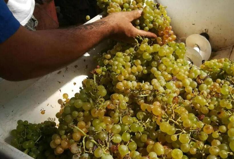 استودیوی استاندارد, Agriturismo Del Monte