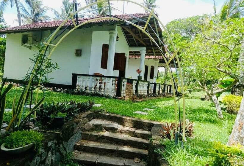 غرفة قياسية مطلّة علي الحديقة, Freedom192