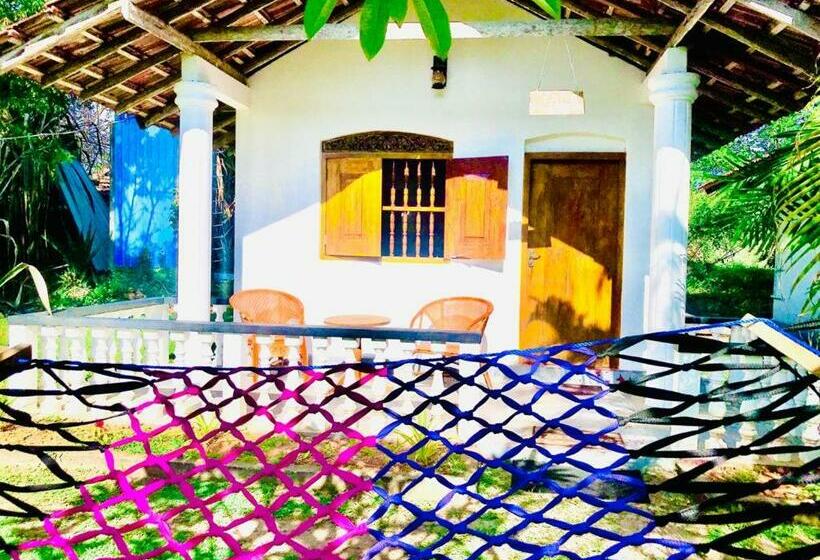 غرفة قياسية مطلّة علي الحديقة, Freedom192