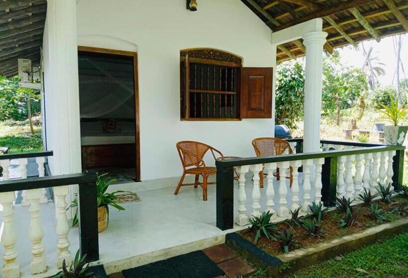 غرفة قياسية مطلّة علي الحديقة, Freedom192