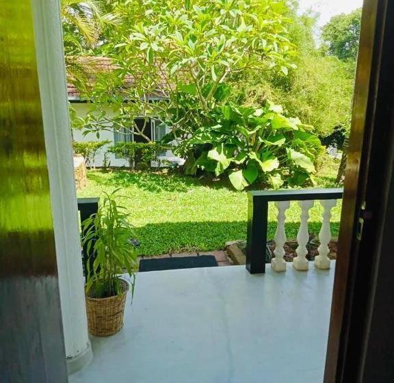 غرفة قياسية مطلّة علي الحديقة, Freedom192