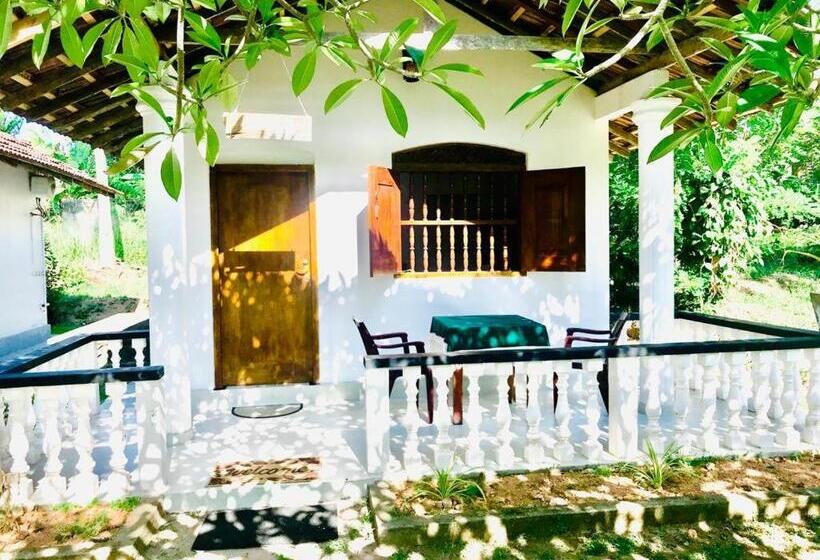 غرفة قياسية مطلّة علي الحديقة, Freedom192